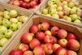Wooden Crate Box Full Of Fresh Apples