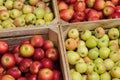 Wooden crate box full of fresh apples