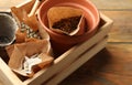 Wooden crate with different vegetable seeds on table, closeup Royalty Free Stock Photo