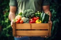Wooden crate of farm fresh vegetables with cauliflower, tomatoes, zucchini, turnips and colorful sweet bell peppers on a Royalty Free Stock Photo