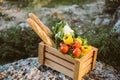 Wooden crate with farm market organic vegetables and baguettes standing on a stone. Closeup photo of frame crate with