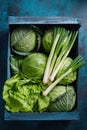 Crate of fresh organic green vegetables Royalty Free Stock Photo
