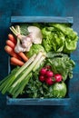 Crate of fresh organic vegetables Royalty Free Stock Photo