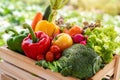 Wooden crate filled with fresh organic vegetables in morning light Royalty Free Stock Photo