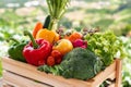 Wooden crate filled with fresh organic vegetables Royalty Free Stock Photo