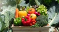 Wooden crate filled with fresh organic vegetables Royalty Free Stock Photo