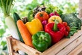 Wooden crate filled with fresh organic vegetables Royalty Free Stock Photo