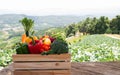 Wooden crate filled with fresh organic vegetables Royalty Free Stock Photo