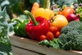 Wooden crate filled with fresh organic vegetables Royalty Free Stock Photo