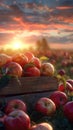 Wooden Crate Filled With Red Apples Royalty Free Stock Photo