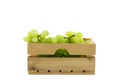 Wooden crate filled with white grapes isolated on white