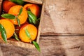 Wooden crate of fresh colorful clementines