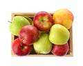 Wooden crate full of fresh apples on white background Royalty Free Stock Photo