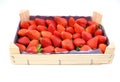 Wooden crate full of freshly harvested strawberries on white background. Royalty Free Stock Photo