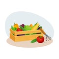 Wooden Crate Full of Vegetables as Crop Harvesting Vector Illustration