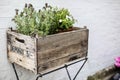 Wooden crate with herbs on stand Royalty Free Stock Photo