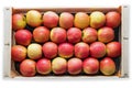 Wooden crate with red and yellow apples, on white background Royalty Free Stock Photo