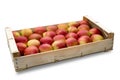 Wooden crate with red and yellow apples, on white background Royalty Free Stock Photo