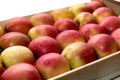 Wooden crate with red and yellow apples, on white background Royalty Free Stock Photo