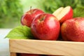 Wooden crate with ripe juicy red apples against blurred background Royalty Free Stock Photo