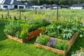 A wooden crate with various vegetables, standing on the grass in the garden.