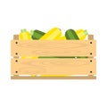Wooden crate with zucchini
