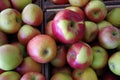 Farm fresh apples overflowing wooden crates