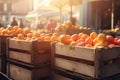Wooden crates of fresh oranges stand in sunlight Royalty Free Stock Photo