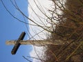 Wooden cross with bushes