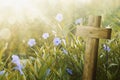 Wooden cross and purple flower with sunlight Royalty Free Stock Photo
