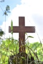 A wooden cross rose to the ground with natural background,