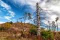 Wooden cross on top of the hill Pravnac in Slovakia Royalty Free Stock Photo