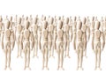 Wooden Crowd Royalty Free Stock Photo