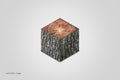 Wooden Cube Coniferous Wood. Isometric Background