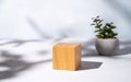 Wooden cube empty for product demonstration or mock-up with shadows and flower pot on a blue background. Trendy neutral aesthetic Royalty Free Stock Photo