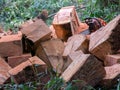Wooden cube pile cut tree eucaliptus deforestation Royalty Free Stock Photo