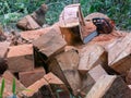 Wooden cube pile cut tree eucaliptus deforestation Royalty Free Stock Photo