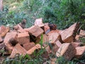Wooden cube pile cut tree eucaliptus deforestation Royalty Free Stock Photo
