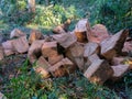 Wooden cube pile cut tree eucaliptus deforestation Royalty Free Stock Photo