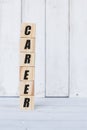 wooden cube, with the word professional career, with white wooden background