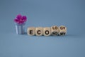 Wooden cube wording flipping between economy and ecology concept. Beautiful blue background. Business concept.