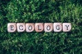 Wooden cubes with word Ecology over green grass, forest moss background. Top view. Copy space. Text Ecology on craft Royalty Free Stock Photo