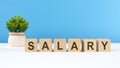 the word Salary is written on wooden cubes on a light blue background Royalty Free Stock Photo