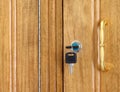 Wooden cupboard with keys Royalty Free Stock Photo