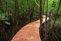 wooden curve footpath thtough mangrove forest, Chanthaburi Royalty Free Stock Photo