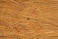 Wooden cut texture