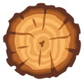 Wooden cut top view. Tree trunk with age rings