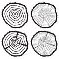 vector wooden cut of a tree log Royalty Free Stock Photo