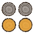 Wooden cut of a tree log with concentric rings, vector