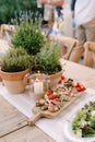 Wooden cutting board with cold cuts on the table near flower pots and a candle in a flask. Royalty Free Stock Photo